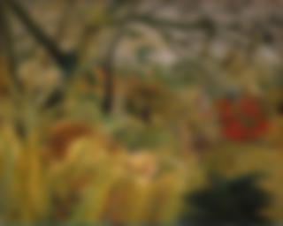 熱帯嵐のなかのトラ - アンリ・ルソー | FeelTheArt