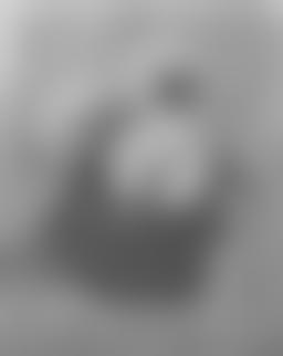 丸い鍋に三本の菊が咲く - ピート・モンドリアン | FeelTheArt